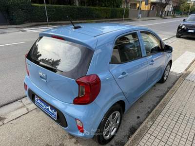 Kia Picanto 1.0 12V 5 porte Urban Blu/Azzurro usata Pieve a Nievole