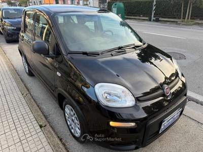 Fiat Panda 1.0 FireFly S&S Hybrid Nero usata Pieve a Nievole