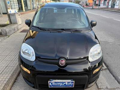 Fiat Panda 1.0 FireFly S&S Hybrid Nero usata Pieve a Nievole