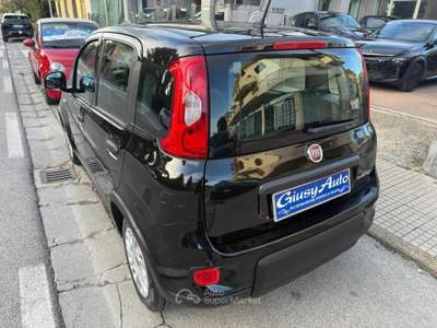 Fiat Panda 1.0 FireFly S&S Hybrid Nero usata Pieve a Nievole