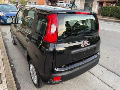 Fiat Panda 1.0 FireFly S&S Hybrid Nero usata Pieve a Nievole