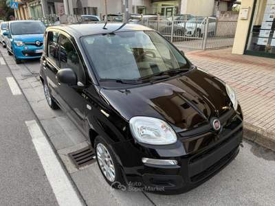 Fiat Panda 1.0 FireFly S&S Hybrid Nero usata Pieve a Nievole