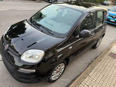 Fiat Panda 1.0 FireFly S&S Hybrid Nero usata Pieve a Nievole