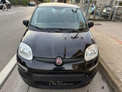 Fiat Panda 1.0 FireFly S&S Hybrid Nero usata Pieve a Nievole