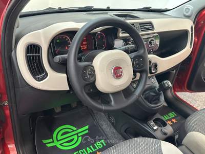 Fiat Panda 1.3 mjt 16v 4x4 5 POSTI|CLIMA Rosso usata Como