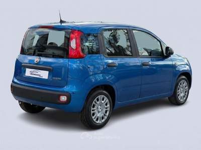 Fiat Panda  1.0 firefly hybrid 70 5p Blu/Azzurro usata Sant'Anastasia