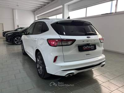 Ford Kuga AUTO USATA Bianco usata Occhiobello