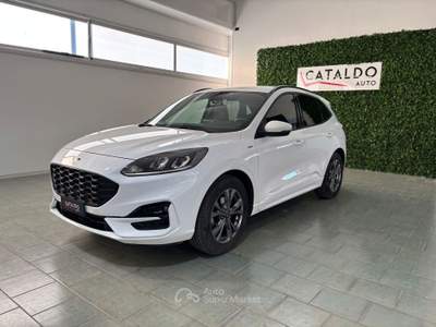 Ford Kuga AUTO USATA Bianco usata Occhiobello