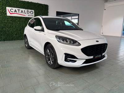 Ford Kuga AUTO USATA Bianco usata Occhiobello