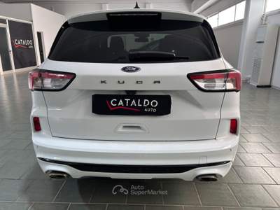 Ford Kuga AUTO USATA Bianco usata Occhiobello
