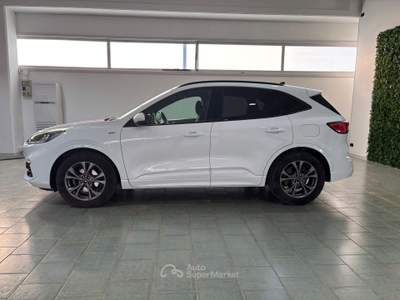 Ford Kuga AUTO USATA Bianco usata Occhiobello