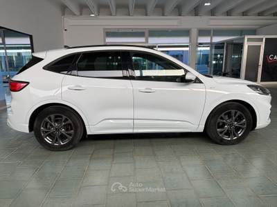Ford Kuga AUTO USATA Bianco usata Occhiobello