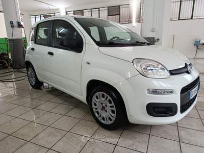 Fiat Panda S&S Easy Bianco usata Altamura