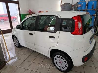 Fiat Panda S&S Easy Bianco usata Altamura