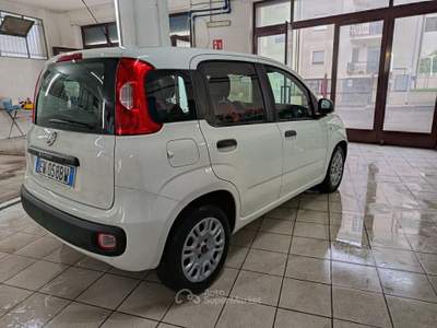 Fiat Panda S&S Easy Bianco usata Altamura
