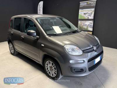 Fiat Panda Hybrid 1.0 FireFly 70 cv - PROMO Grigio usata Este