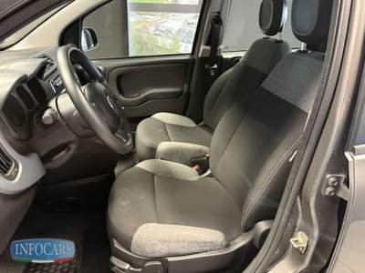 Fiat Panda Hybrid 1.0 FireFly 70 cv - PROMO Grigio usata Este