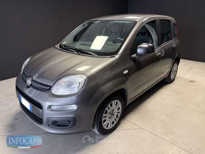 Fiat Panda Hybrid 1.0 FireFly 70 cv - PROMO Grigio usata Este