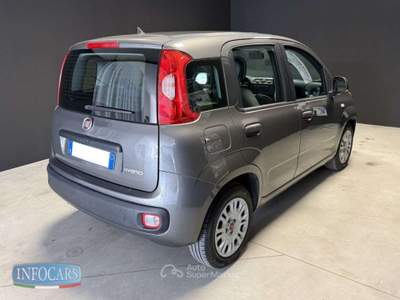 Fiat Panda Hybrid 1.0 FireFly 70 cv - PROMO Grigio usata Este