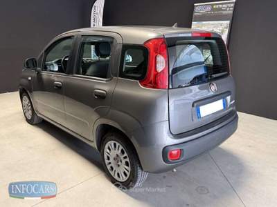 Fiat Panda Hybrid 1.0 FireFly 70 cv - PROMO Grigio usata Este