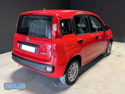 Fiat Panda Hybrid 1.0 FireFly 70 cv Neopatentati - PROMO Rosso usata Este