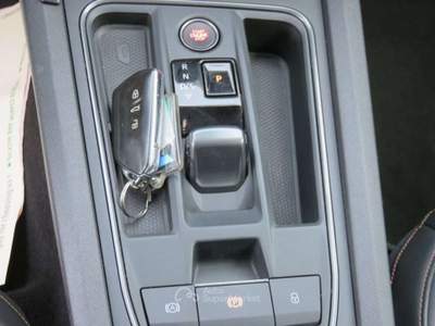 Cupra Formentor 2.0 TDI 4Drive DSG Grigio usata Tolentino