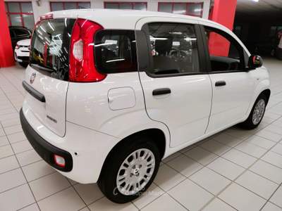 Fiat Panda 1.0 70cv Hybrid Pandina "SUPER PROMO" Bianco usata LEGNANO