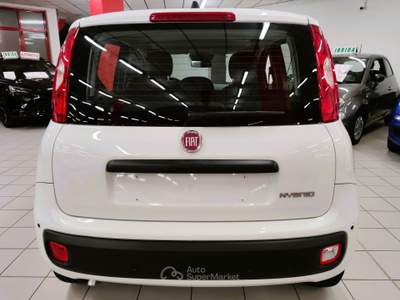 Fiat Panda 1.0 70cv Hybrid Pandina "SUPER PROMO" Bianco usata LEGNANO