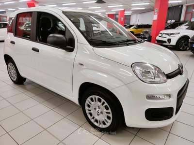 Fiat Panda 1.0 70cv Hybrid Pandina "SUPER PROMO" Bianco usata LEGNANO