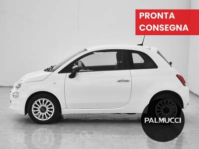 Fiat 500 500 1.0 hybrid Cult 70cv usata Prato