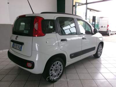 Fiat Panda PANDA 1.2 BENZINA E6D LOUNGE +600.00 GPL NUOVO Bianco usata Giugliano in Campania