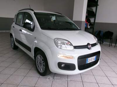 Fiat Panda PANDA 1.2 BENZINA E6D LOUNGE +600.00 GPL NUOVO Bianco usata Giugliano in Campania