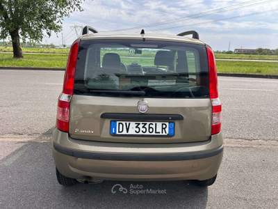 Fiat Panda Panda II 2009 1.2 Dynamic *Gpl scade 06/2029* Beige usata Inzago