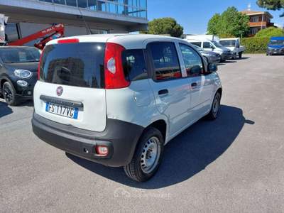 Fiat Panda VAN 1.2 BENZINA 69CV Bianco usata Pisa