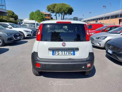 Fiat Panda VAN 1.2 BENZINA 69CV Bianco usata Pisa