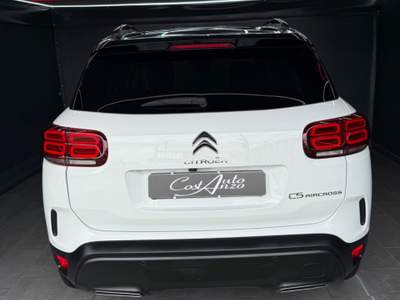 Citroen C5 Aircross 1.5 BlueHDi 130 cv EAT8 Shine 2019 Bianco usata Teverola