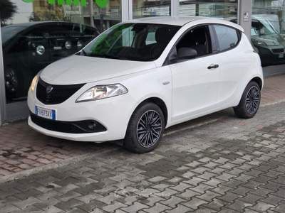 Lancia Ypsilon 5 porte GPL Ecochic Gold Bianco usata Cotignola