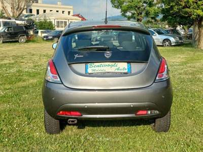 Lancia Ypsilon 1.200 5 Porte Gold Grigio usata Meldola