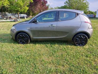 Lancia Ypsilon 1.200 5 Porte Gold Grigio usata Meldola
