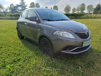 Lancia Ypsilon 1.200 5 Porte Gold Grigio usata Meldola