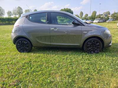 Lancia Ypsilon 1.200 5 Porte Gold Grigio usata Meldola