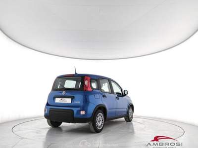 Fiat Panda 1.0 firefly hybrid s&s 70cv Blu/Azzurro usata Corciano