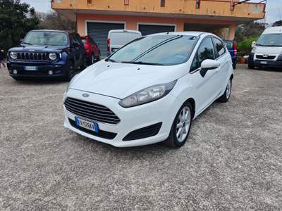 Ford Fiesta In ottimo stato,adatta a neopatentati usata Roccadaspide