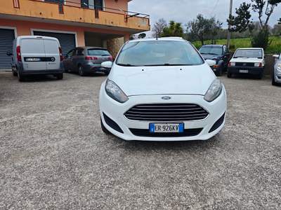 Ford Fiesta In ottimo stato,adatta a neopatentati usata Roccadaspide