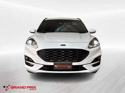 Ford Kuga 2.0 EcoBlue 120 CV aut. 2WD ST-Line Bianco usata Castenaso