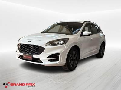 Ford Kuga 2.0 EcoBlue 120 CV aut. 2WD ST-Line Bianco usata Castenaso