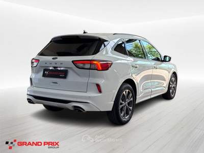 Ford Kuga 2.0 EcoBlue 120 CV aut. 2WD ST-Line Bianco usata Castenaso
