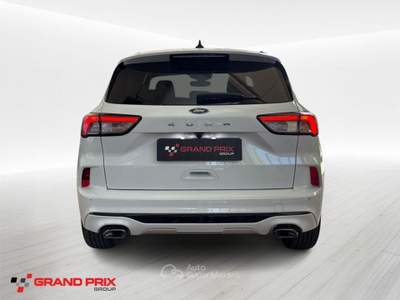 Ford Kuga 2.0 EcoBlue 120 CV aut. 2WD ST-Line Bianco usata Castenaso