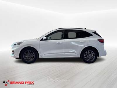Ford Kuga 2.0 EcoBlue 120 CV aut. 2WD ST-Line Bianco usata Castenaso