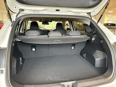Subaru Crosstrek 2.0 HYBRID 4X4 Style-Promo Bianco usata Campodipietra